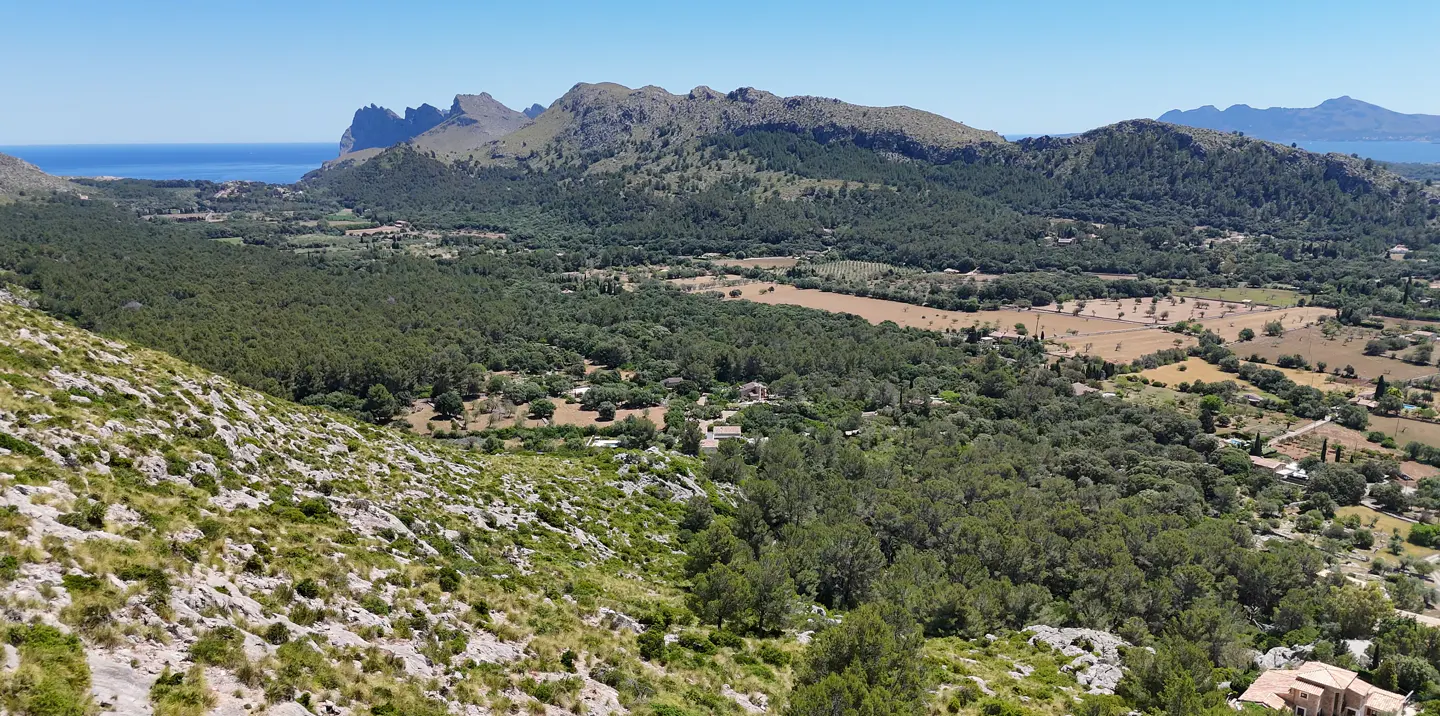 Scenic view of Mallorca, Spain, featuring green mountains, forests, fields, and the blue Mediterranean Sea under a clear sky.