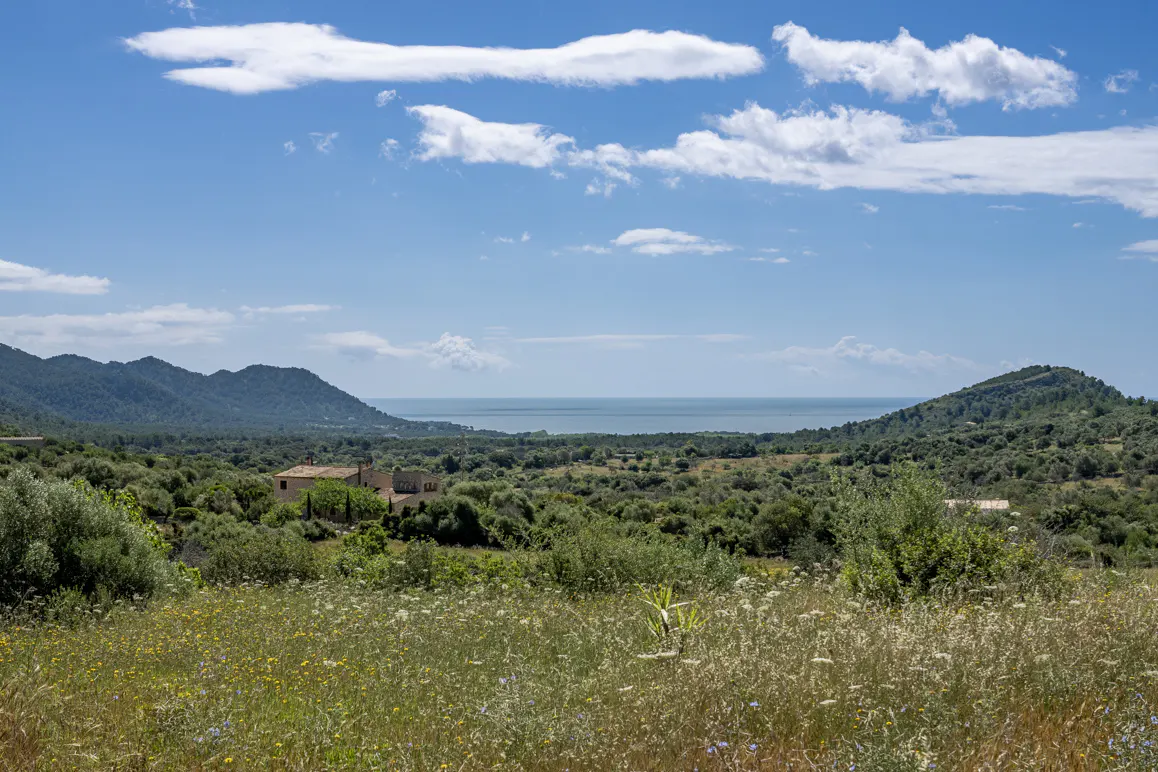 Landscape view of a house surrounded by green trees and mountains under a blue sky with white clouds.