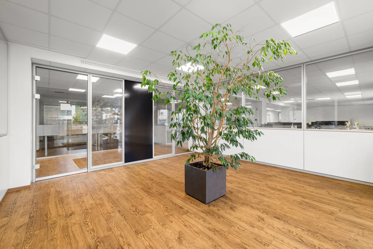 Repräsentative Bürofläche in gefragter Lage - Photo 3