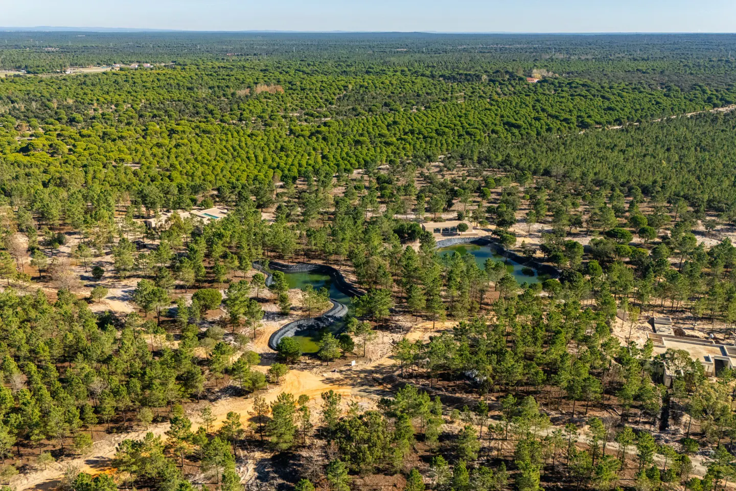 Aerial view of a green forest with a winding pond and a building complex in a clearing.