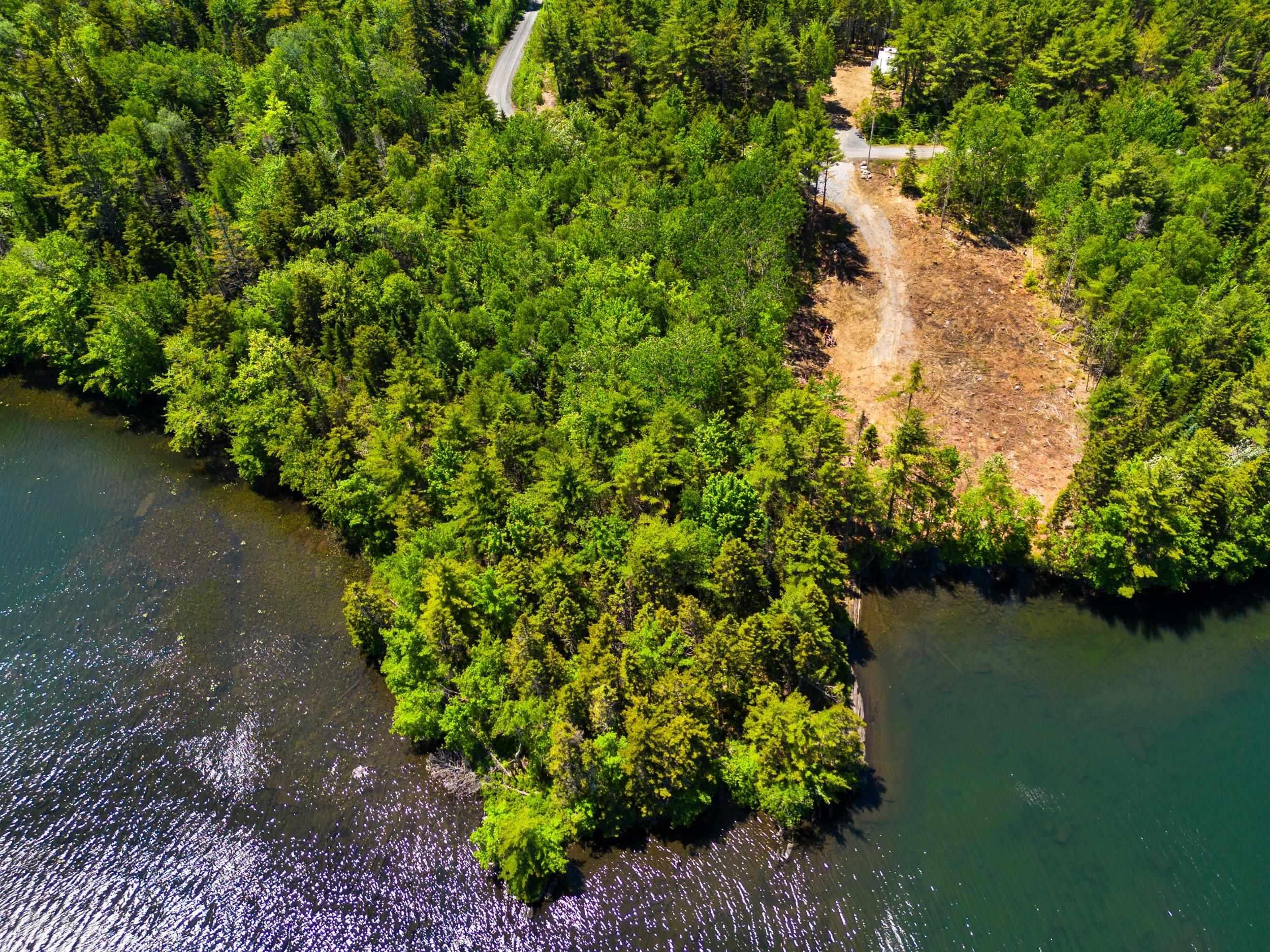 Peaceful Oasis on Andrew Lake