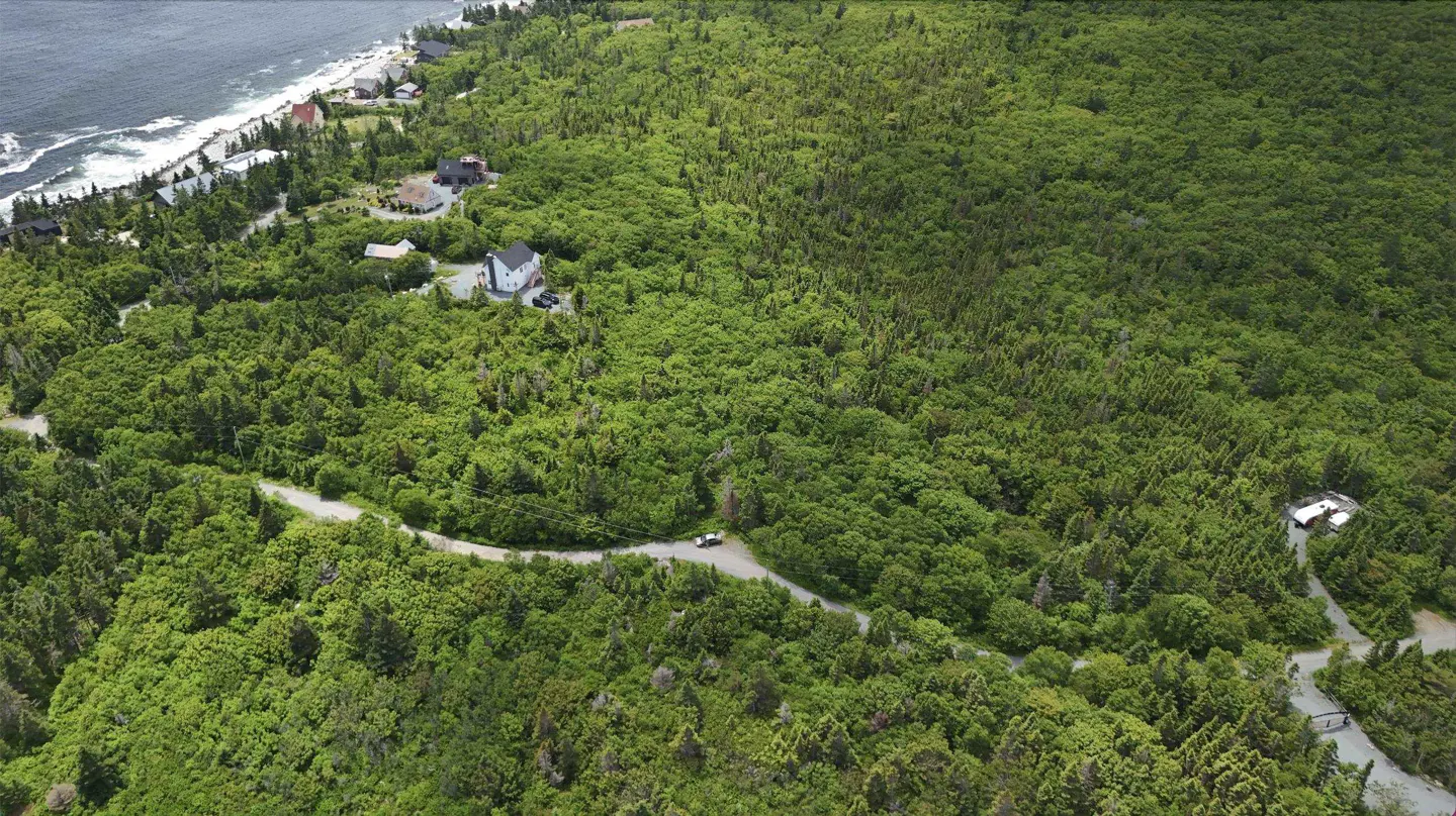 Aerial view of a lush green forest with houses near the coast and a winding road.