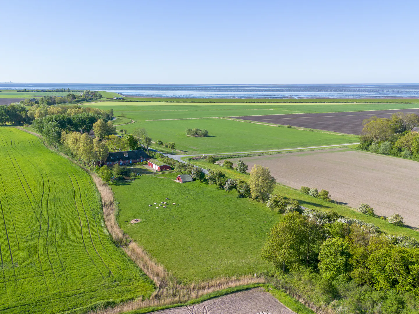 Aerial view of a rural landscape with green fields, a red farmhouse, and the ocean in the background.