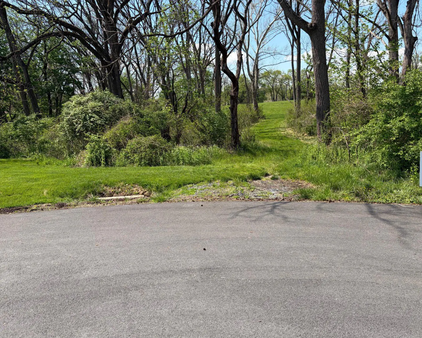 A vacant lot with green grass and trees, viewed from a paved road on a sunny day.