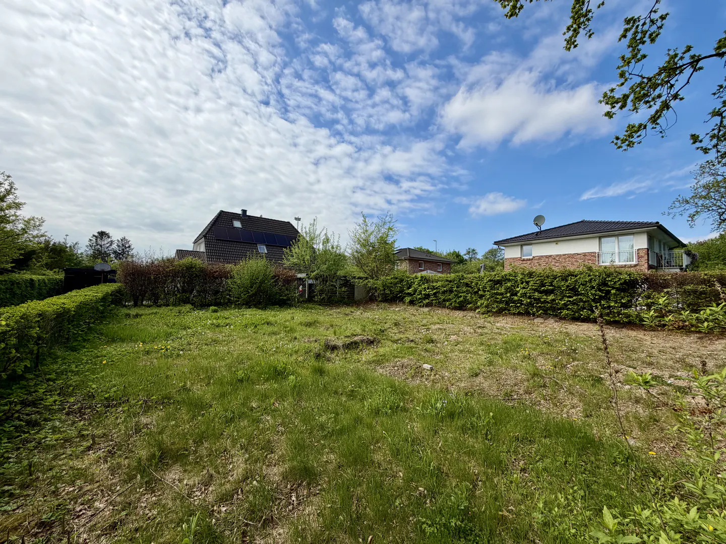 A vacant grassy lot with hedges, houses, and a blue sky with white clouds in the background.