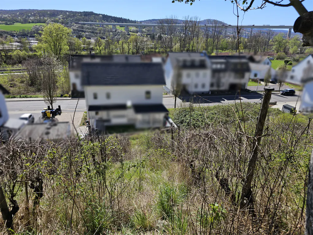 View from a hillside with houses and a bridge in the background on a sunny day.