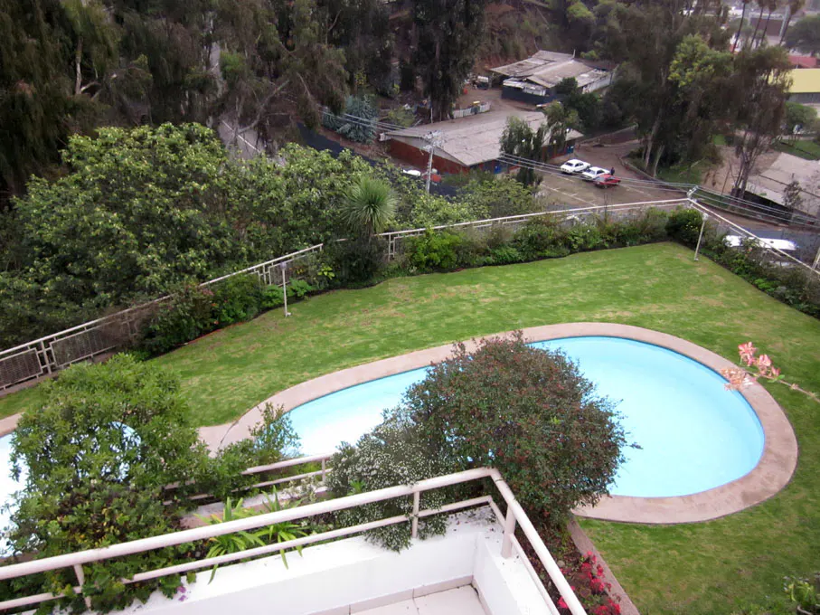 Overhead view of a kidney-shaped pool surrounded by green grass and trees, with buildings in the background.