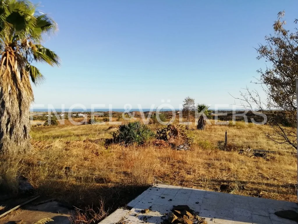 Investment opportunity: Plot of land of 60.800 sqm