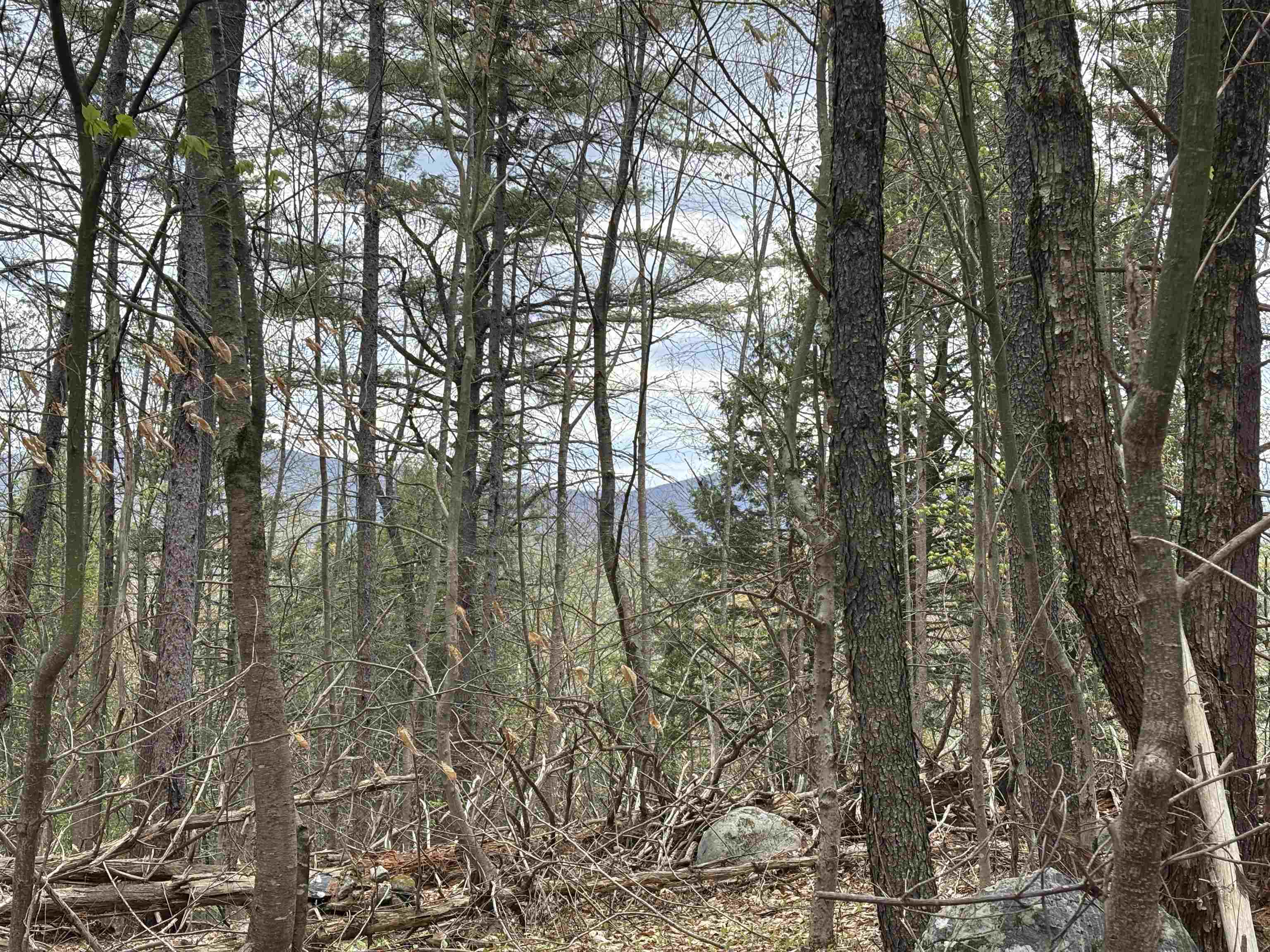 10.4+/- Acre Parcel Close to Chester Village & Okemo Mtn