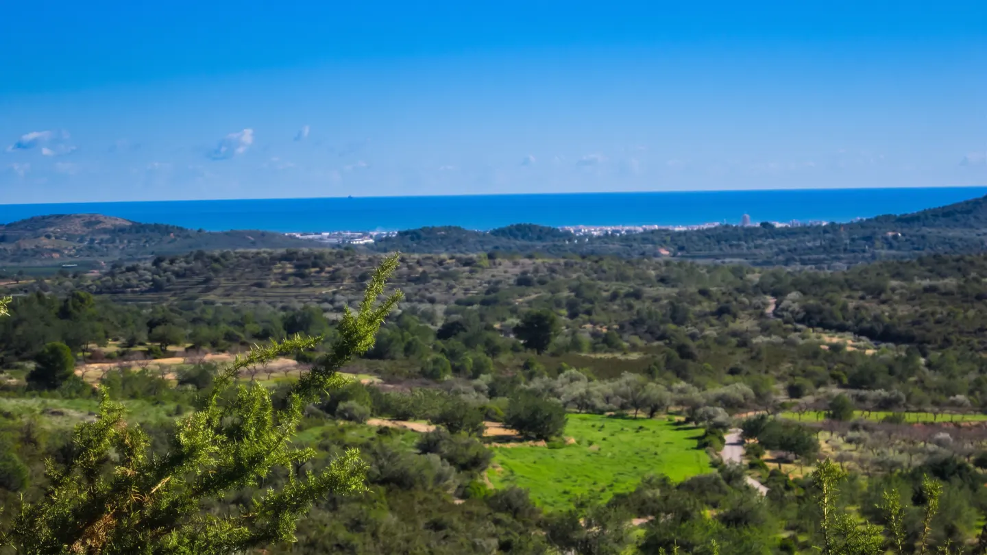 Scenic view of green hills and trees leading to a blue ocean under a clear blue sky.