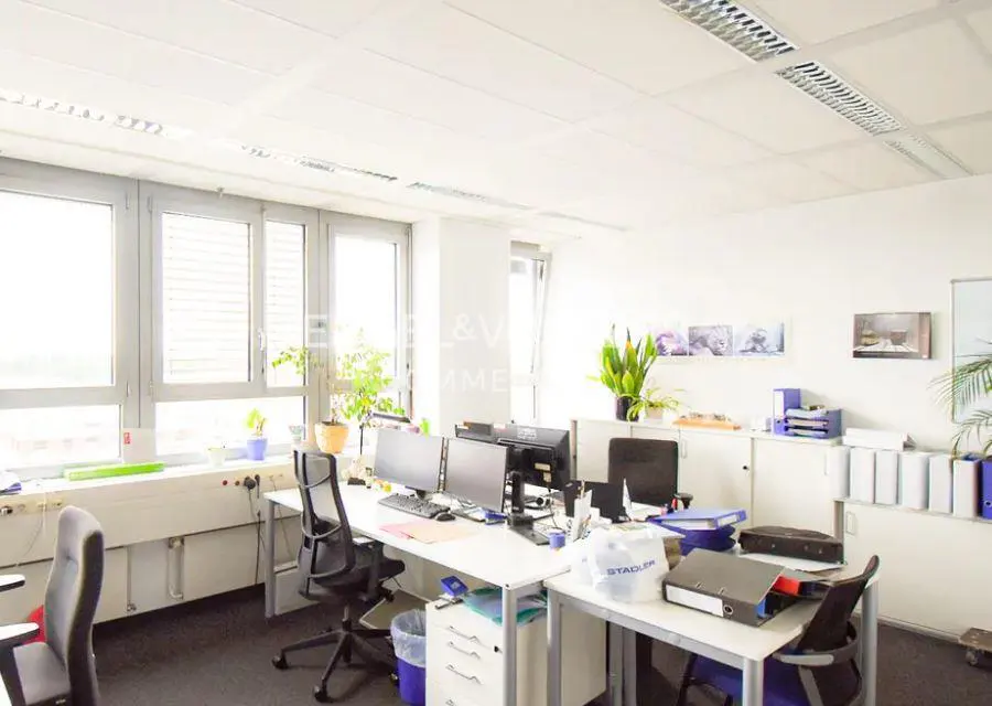 Bright office space with white walls, desks, and cabinets. Large windows let in natural light. Plants add a touch of greenery.