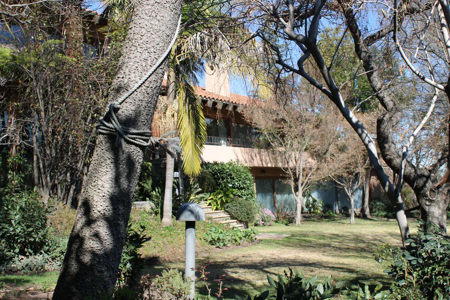 A house with a red tile roof is seen through trees and a green lawn. A thick tree trunk with a rope tied around it is in the foreground.