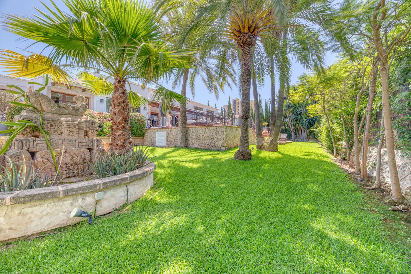 Lush green lawn with palm trees, a stone fountain, and a house in the background on a sunny day.