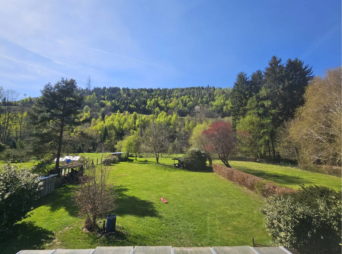 A sunny view of a green lawn with trees and a forest in the background under a blue sky.