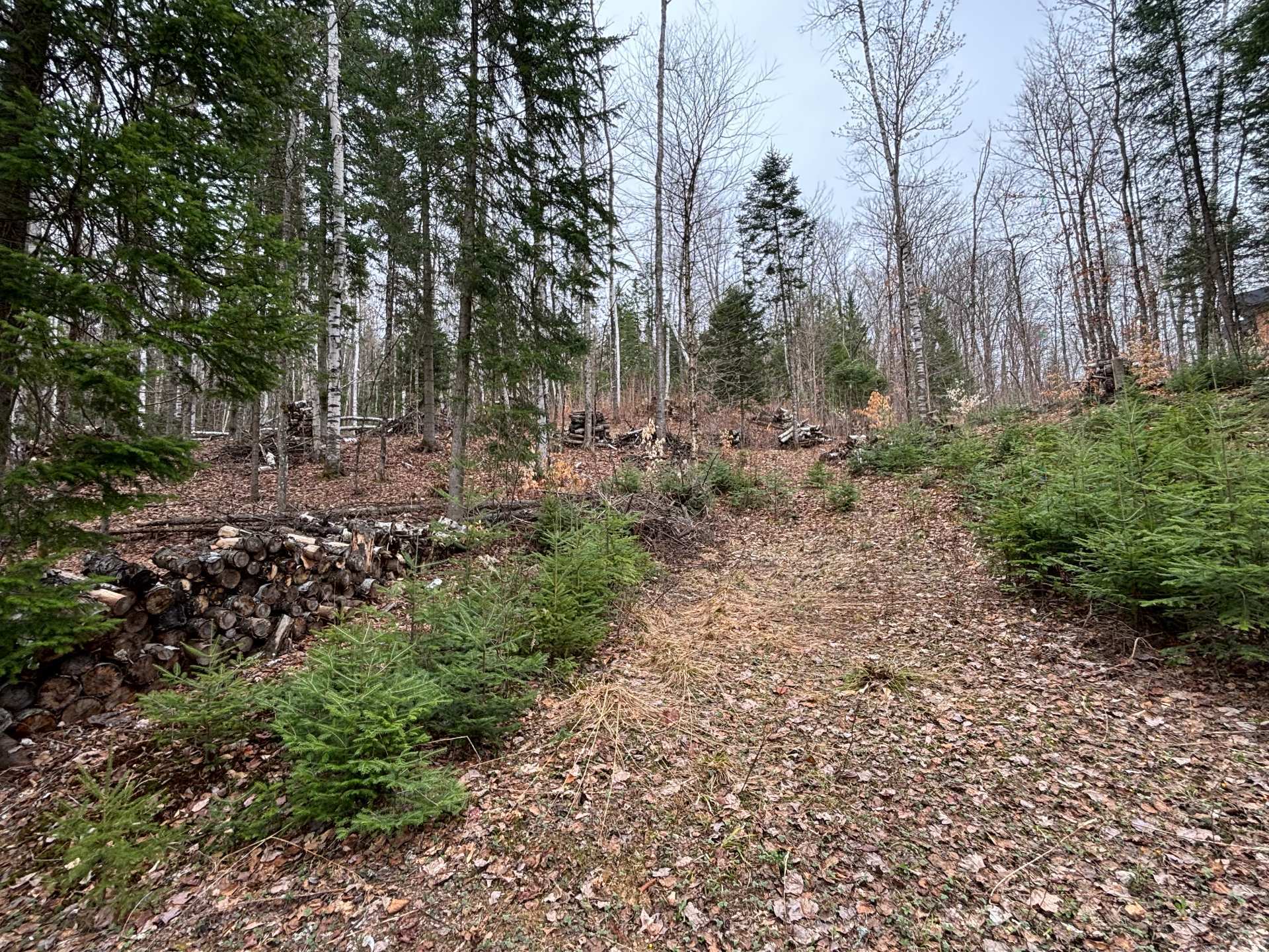 Land to be built in the Serenite en Foret neighborhood