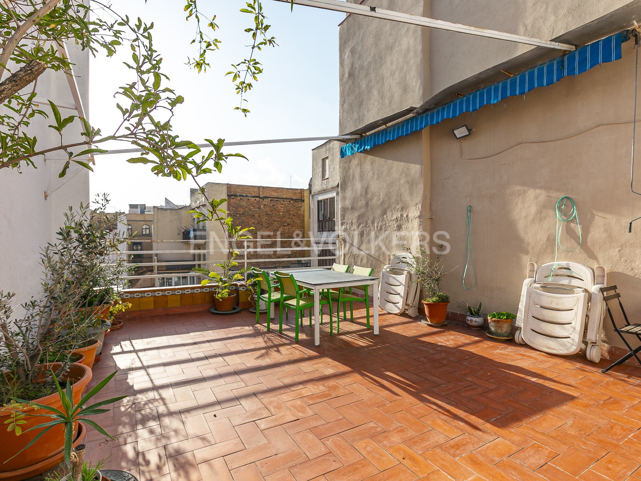 Bright property with terrace in Born