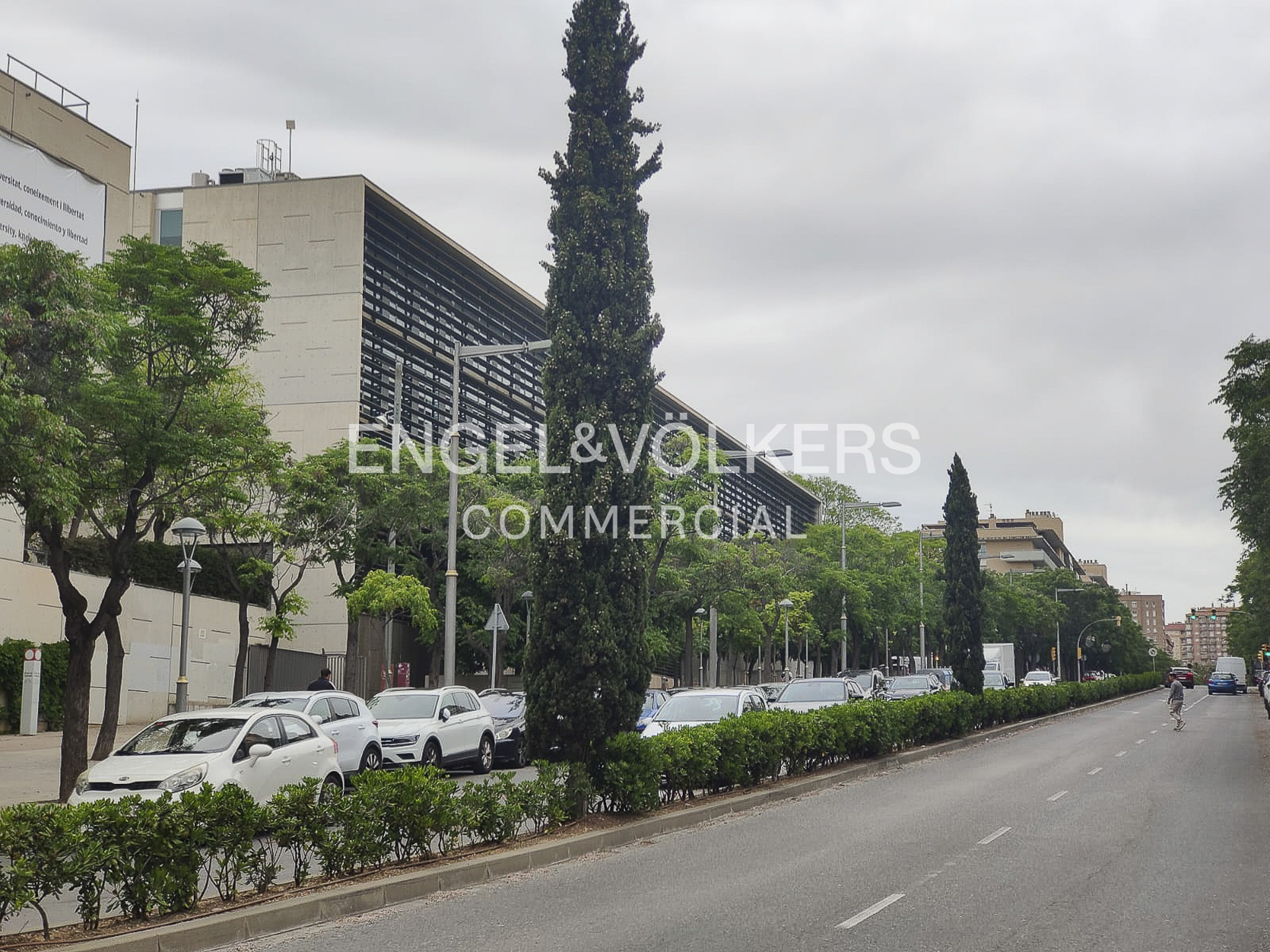 A modern office building with a dark facade sits behind a row of trees and parked cars along a city street. [AI-generated text]