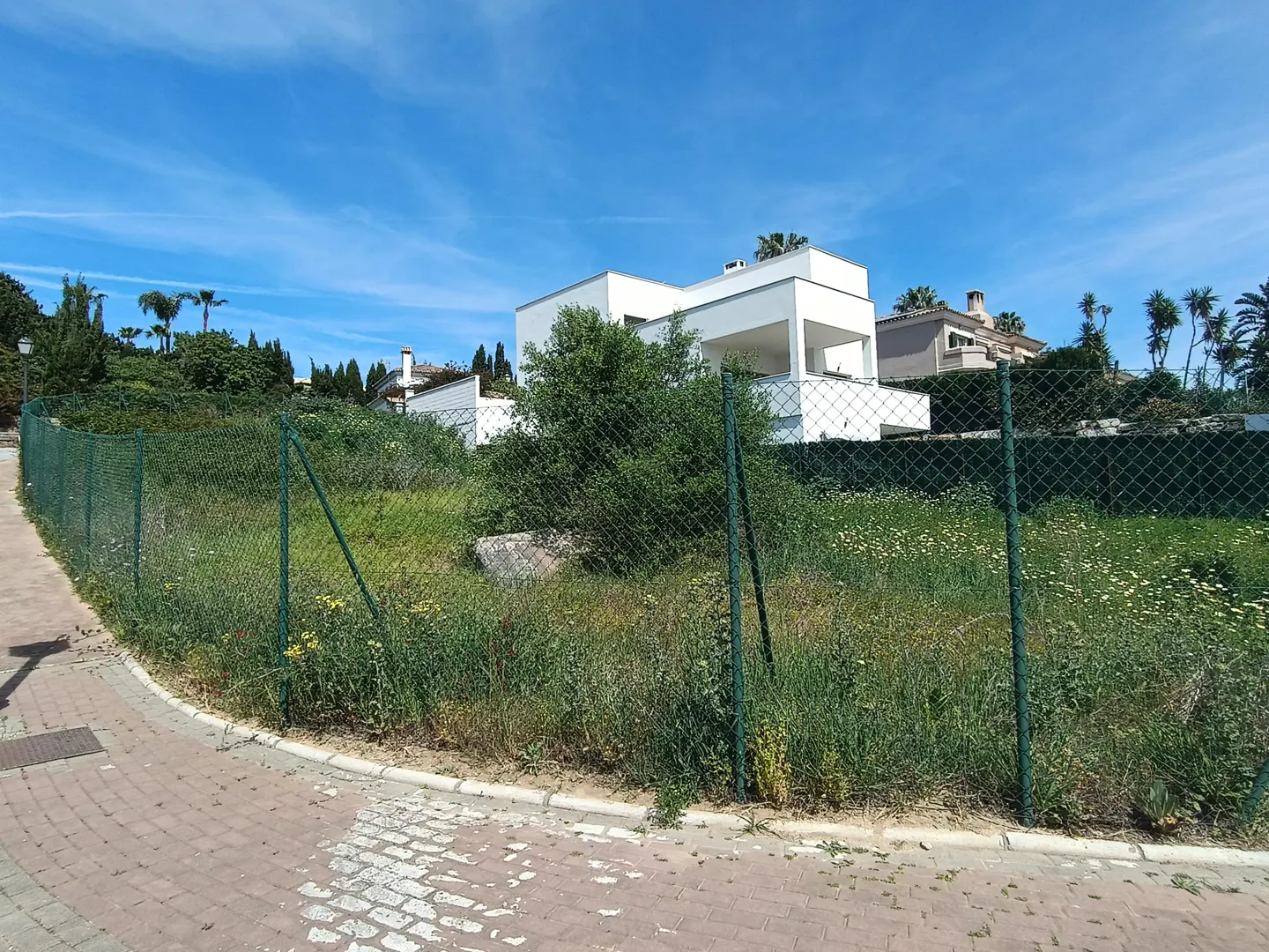 Vacant lot with green chain-link fence, tall grass, and wildflowers. Modern white house in background under a blue sky.