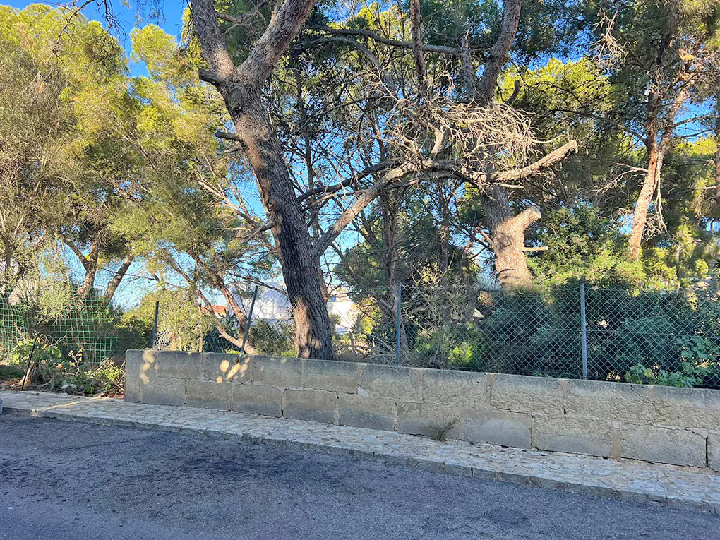 A stone wall and chain link fence border a property with mature trees and greenery under a blue sky.