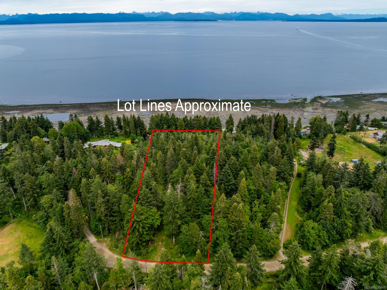 An exceptional 5 acre walk on waterfront property in Comox