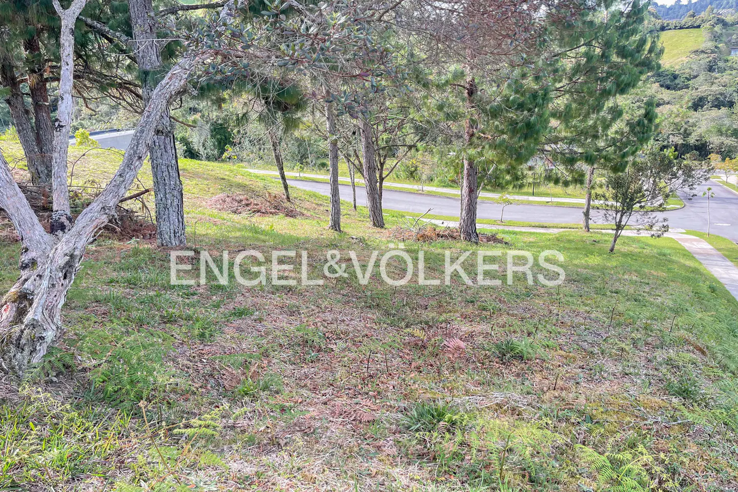 A grassy lot with scattered trees slopes gently toward a paved road in a residential area. The Engel & Völkers logo is superimposed on the grass.