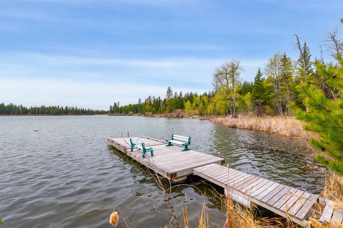 Scenic view of a lake with a wooden dock featuring two benches, surrounded by lush green trees under a blue sky.