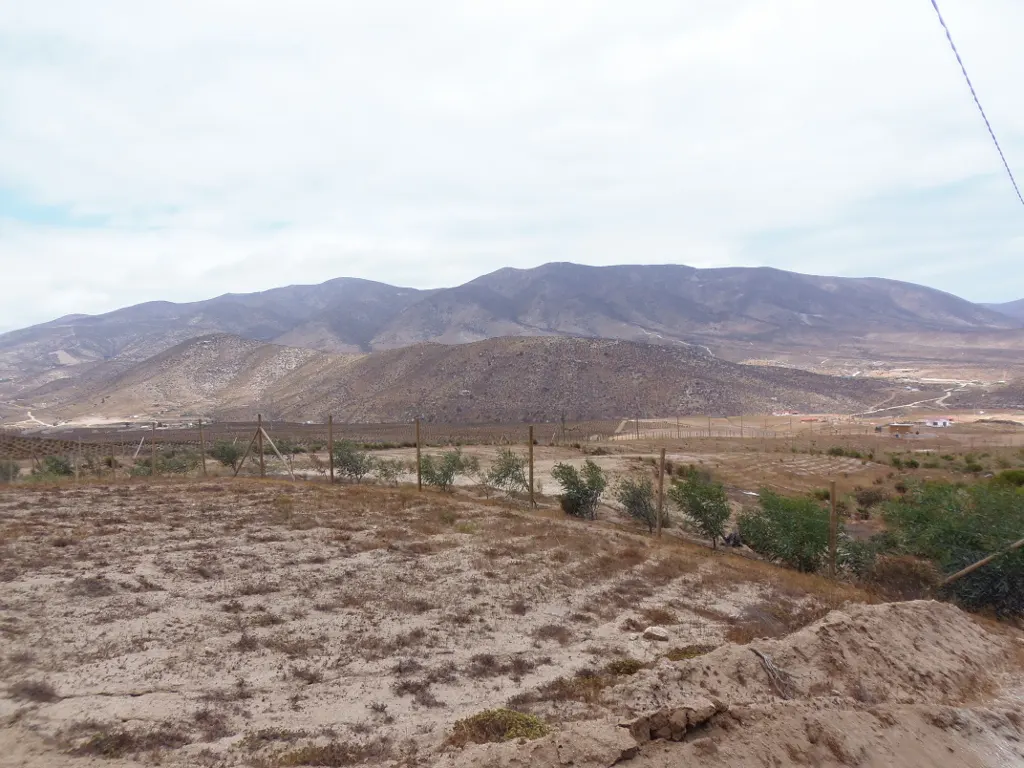 Landscape view of a brown field with a fence line and green trees, with mountains in the background under a cloudy sky.