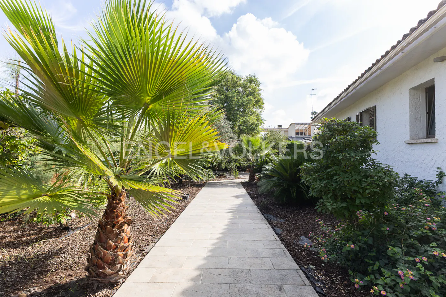 Landscaped walkway to a white house, lined with lush greenery and a palm tree under a partly cloudy sky.