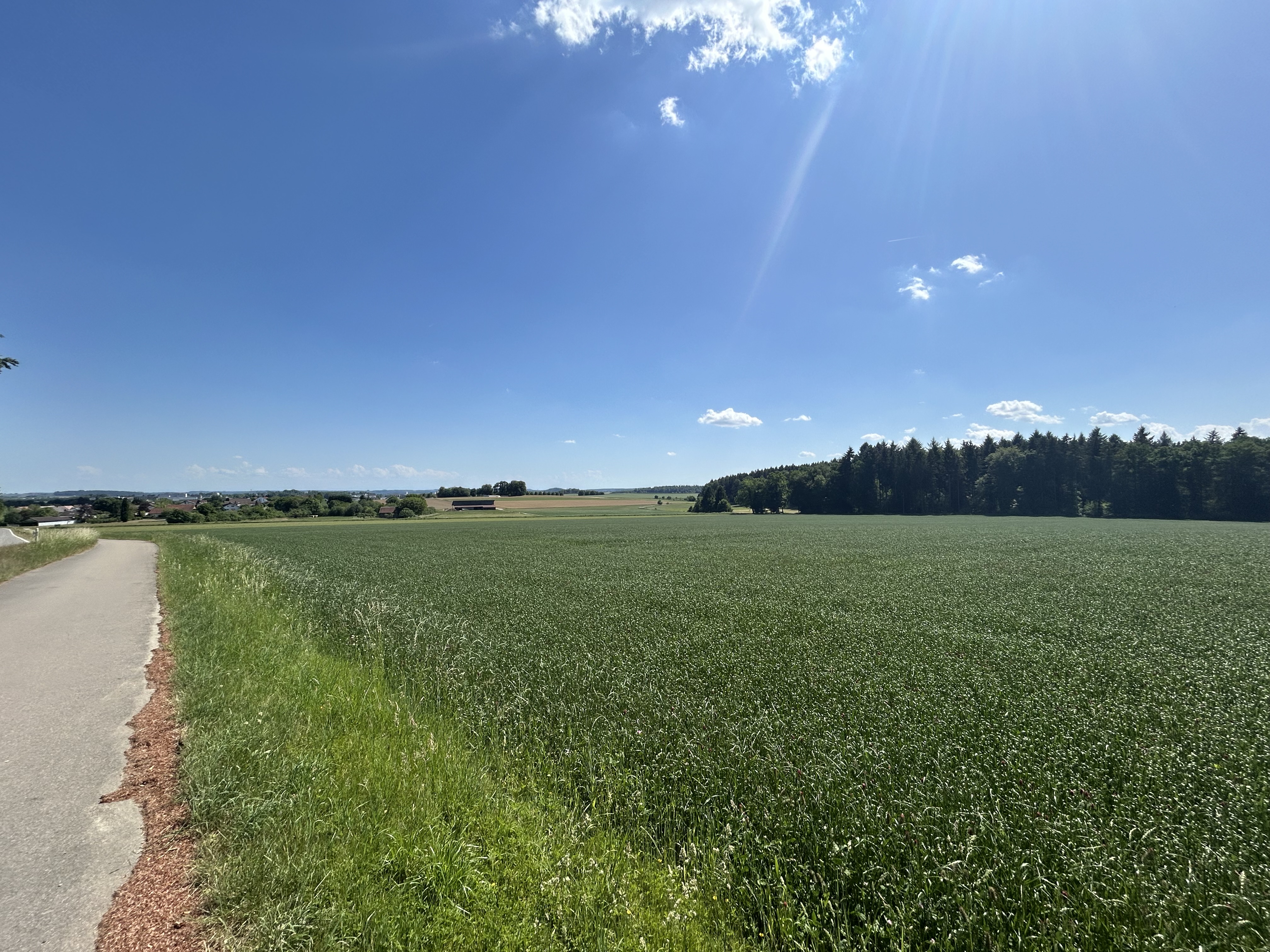 Landwirtschaftliches Grundstück in Warthausen, Birkenhard