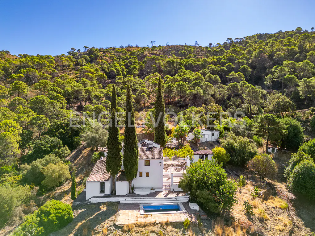 Aerial view of a white house with a pool, surrounded by green trees and a blue sky.