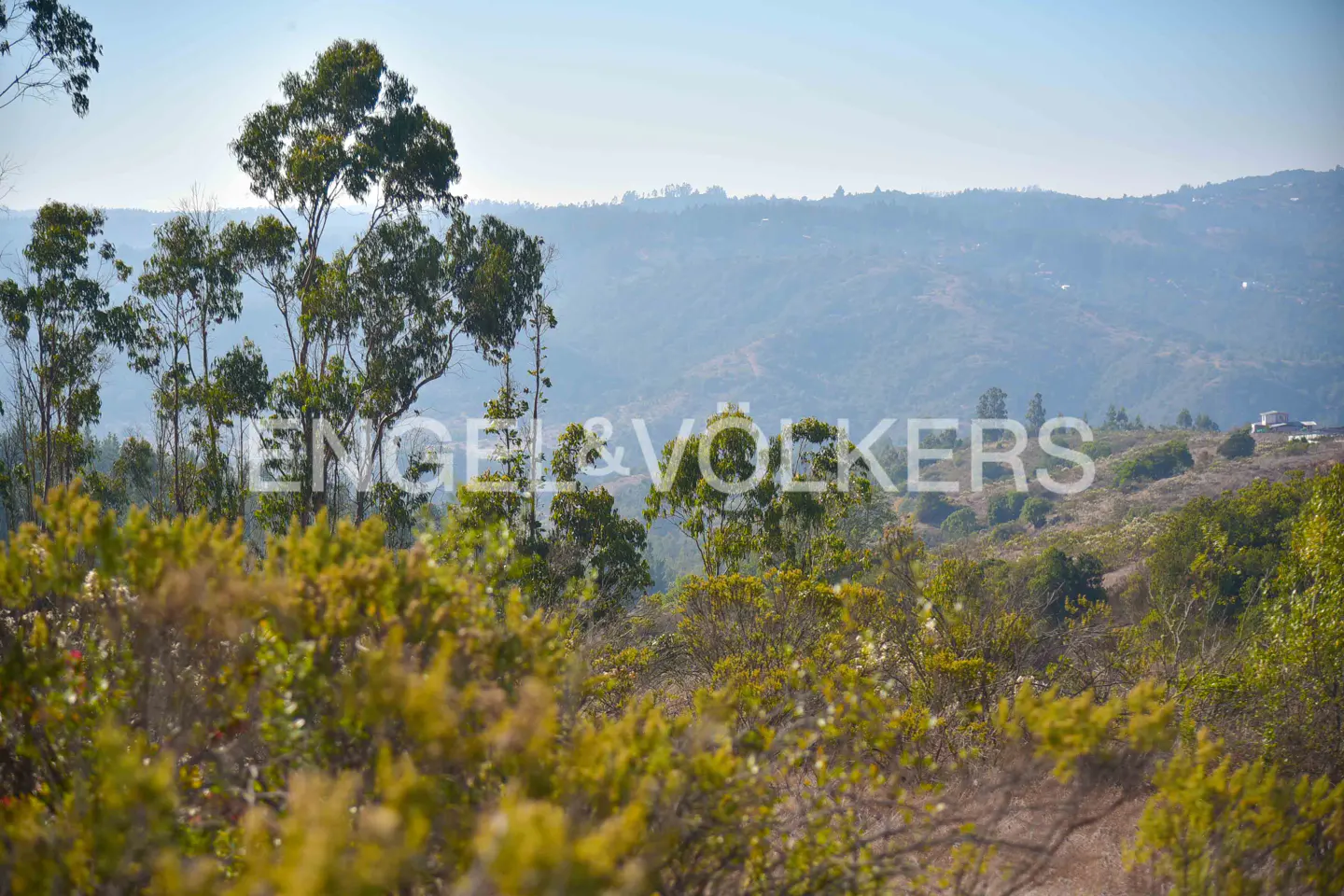 Hilly landscape with green trees and shrubs under a blue sky. Engel & Volkers logo is superimposed on the image.
