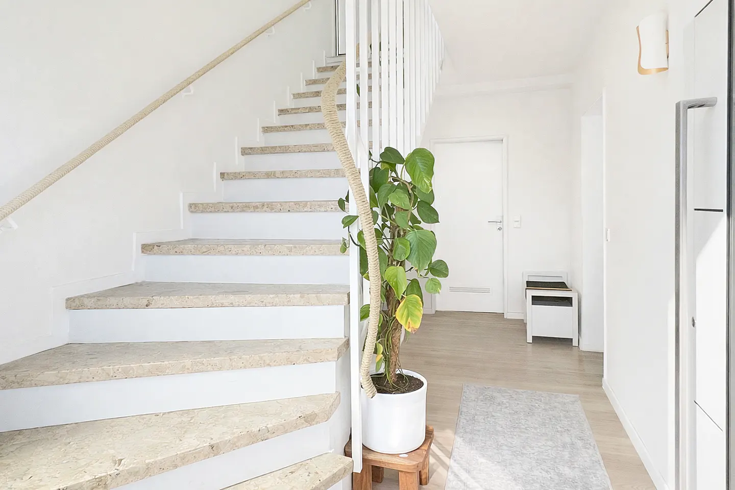 Bright entryway with stone stairs, a rope handrail, a potted green plant, and a white door in a modern home.