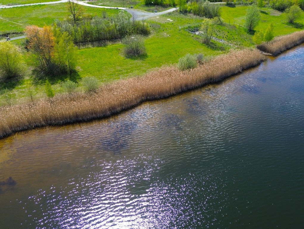 Bauträgerfreies Grundstück am Hainer See