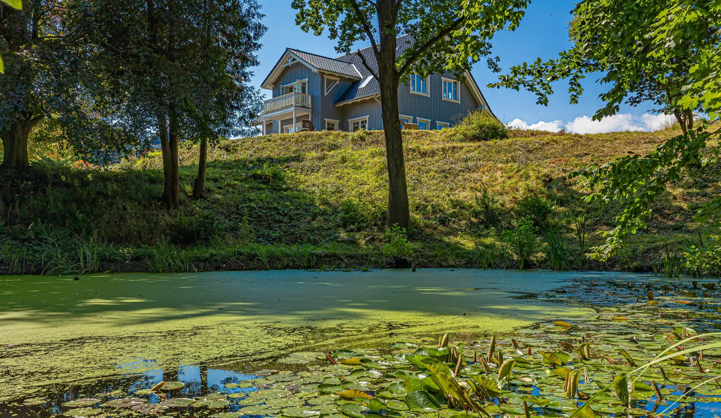 Blue house with a balcony sits atop a grassy hill overlooking a pond covered in green algae and lily pads.