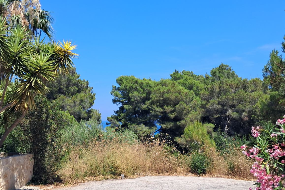 Canyamel plot with sea views and project plans