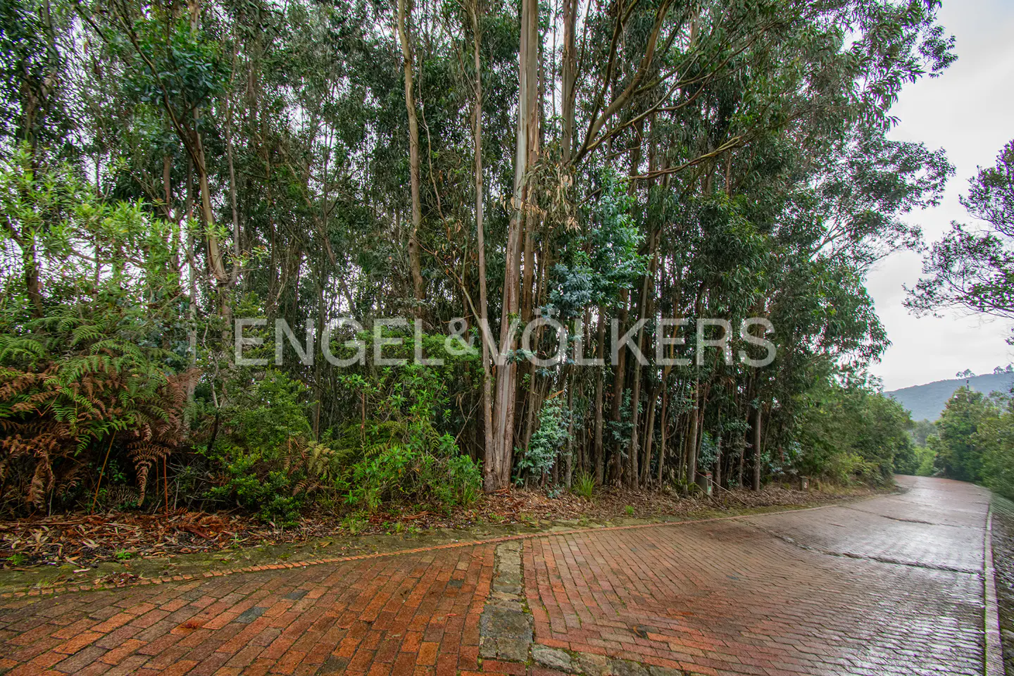 A brick road curves through a lush forest with tall trees and green foliage. The Engel & Völkers logo is superimposed on the image.