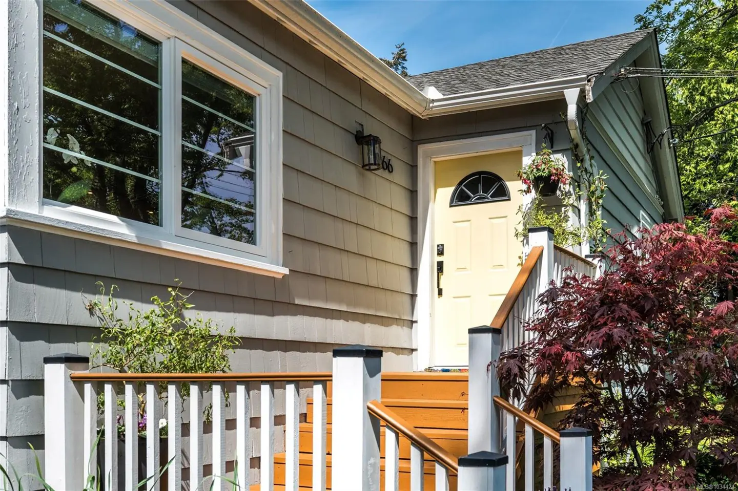 Exterior view of a gray house with a yellow front door and white trim. Wooden steps lead to the entrance. A red Japanese maple tree is on the right.