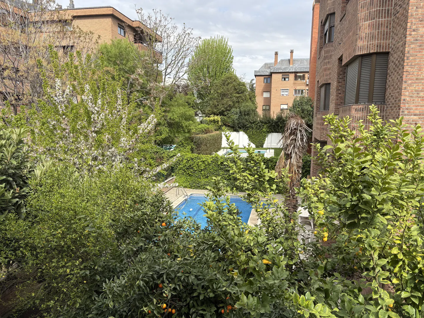 View of a blue swimming pool surrounded by lush greenery and brick buildings on a cloudy day.