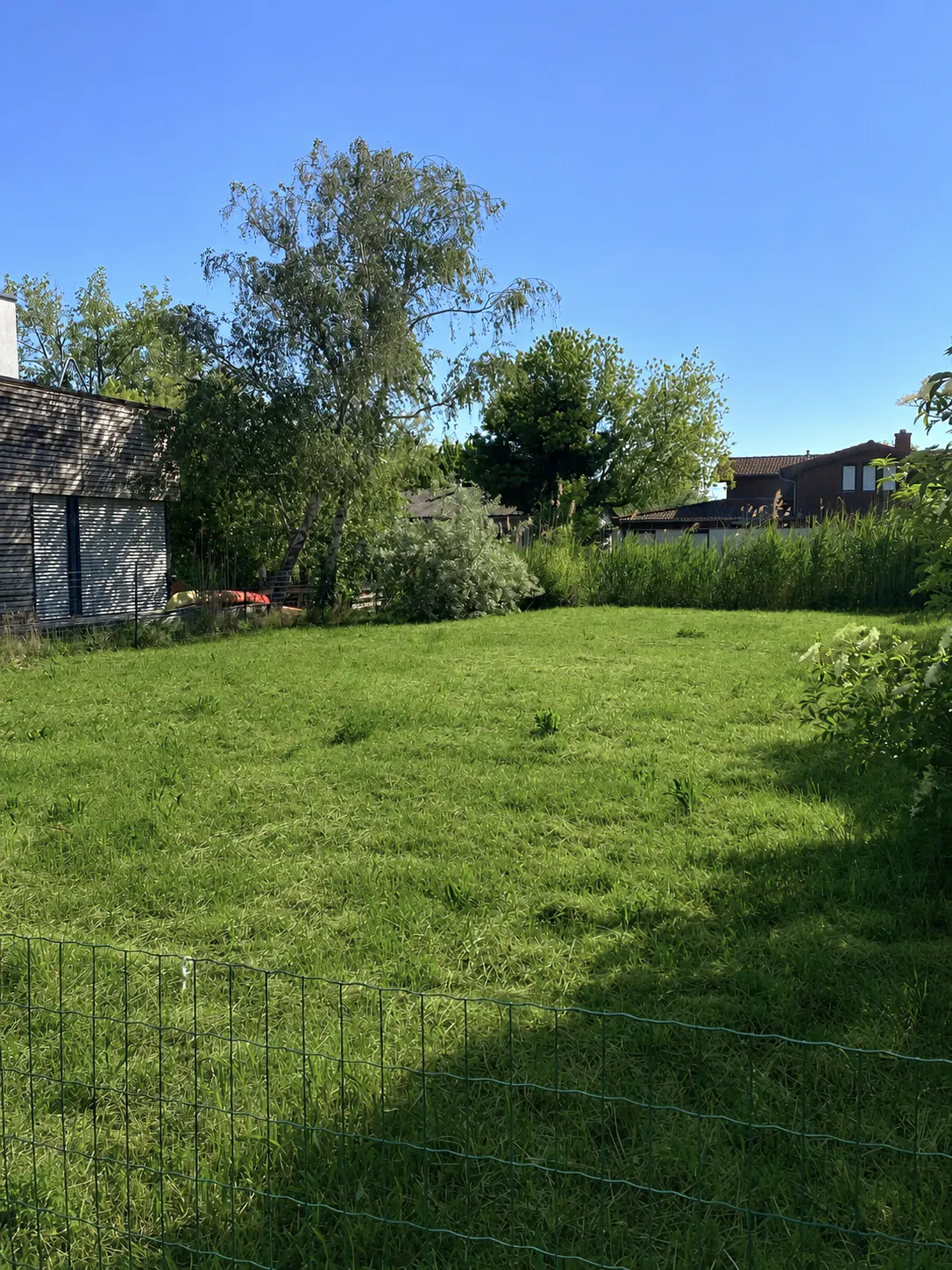 A large, green, grassy lot with trees and a building under a clear blue sky. A green fence is in the foreground.