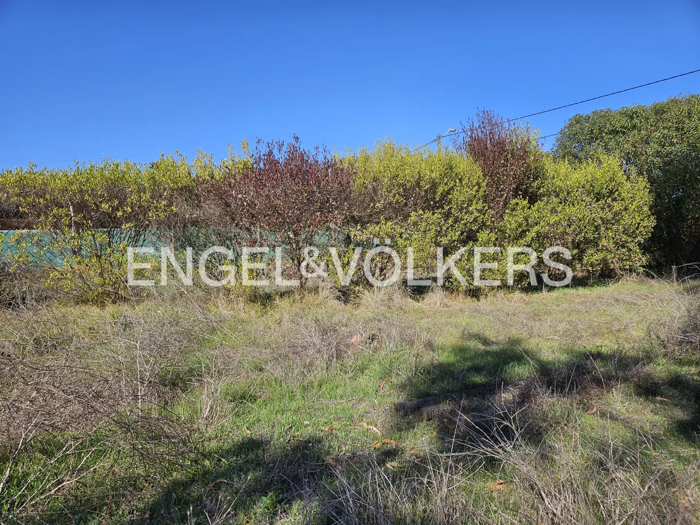 Vacant lot with green and brown vegetation under a clear blue sky. Engel & Volkers logo is superimposed on the image.