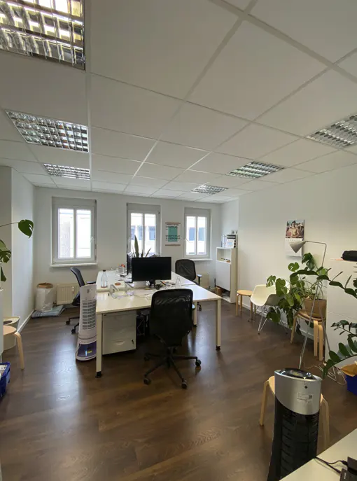 Bright office with white desks, black chairs, dark wood floors, large windows, and several green potted plants.