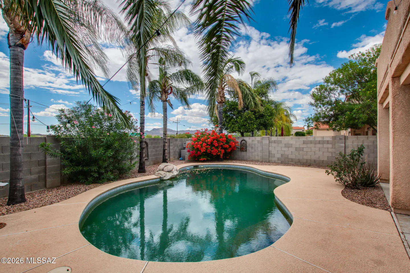 Backyard with a kidney-shaped pool, surrounded by palm trees, a beige concrete patio, and a gray block wall. Red flowers add a pop of color.