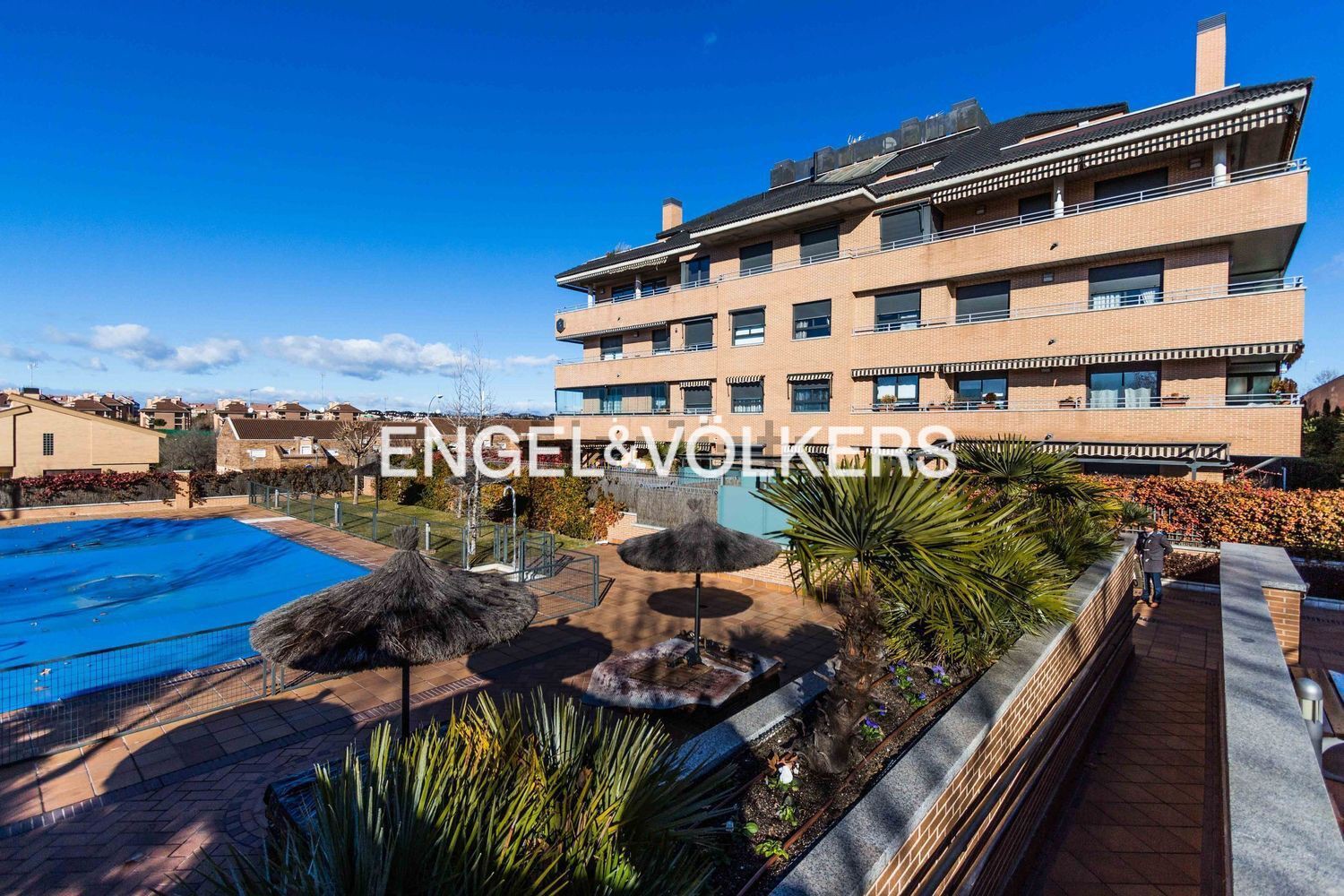 Magnificent bright Flat in Sector S for rent