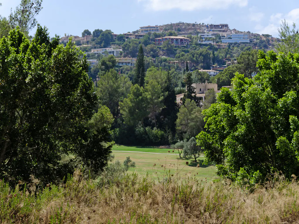 View of a green golf course framed by trees, with houses on a hill in the background.