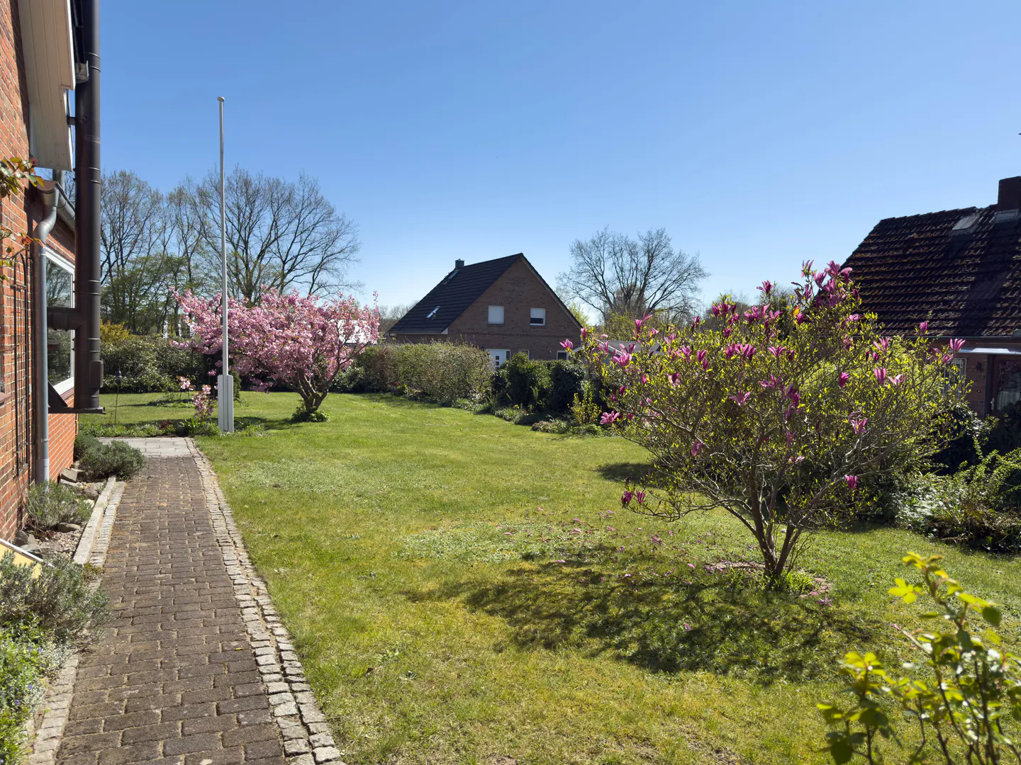 A lush green lawn with flowering trees, a brick path, and houses under a clear blue sky.