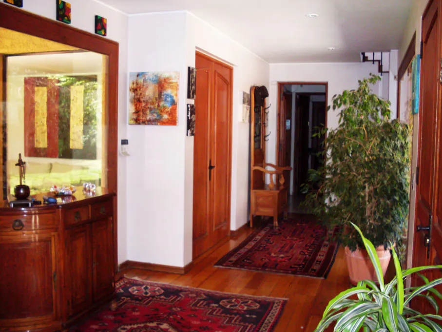 A home's entryway with wood floors, red rugs, a wooden cabinet, and a large potted plant.