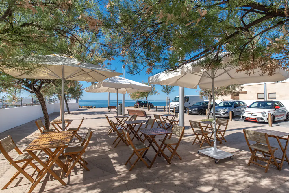 Outdoor cafe with wooden tables and chairs under white umbrellas, near a beach and parking lot with cars.