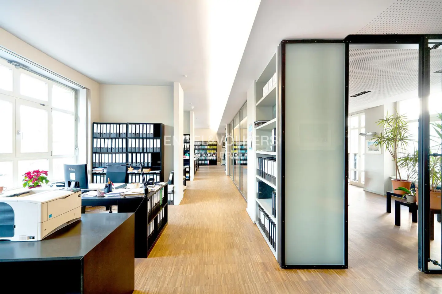 Bright office space with wood floors, desks, and shelving units filled with binders. A glass wall divides the space.
