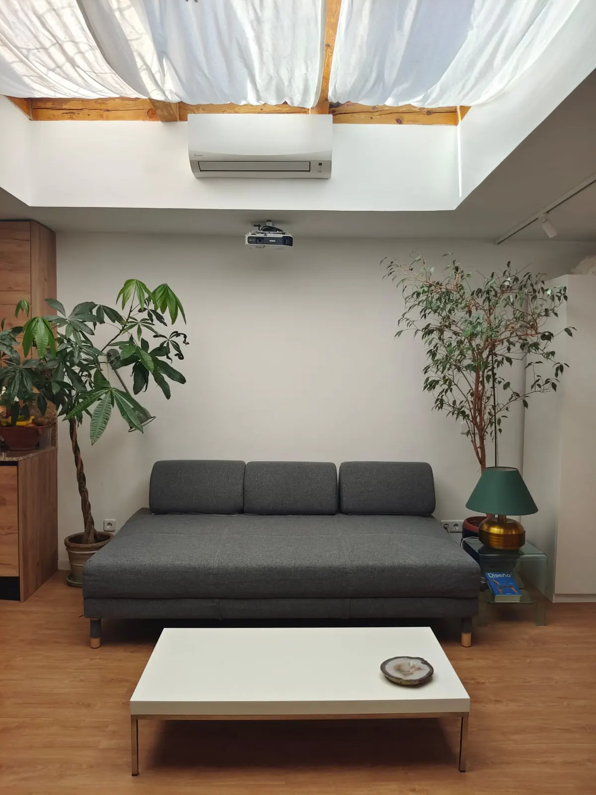 Living room with gray sofa, white coffee table, and plants. Skylight with white fabric drapes above. Air conditioner and projector on the wall.