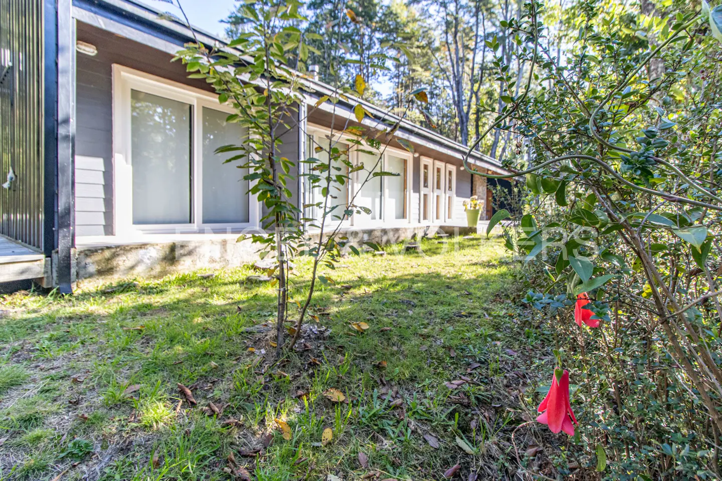 Exterior view of a gray house with white-framed windows, surrounded by green grass and trees.